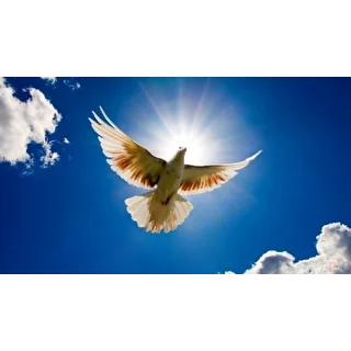 Angels World