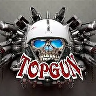 TopGunHeavy