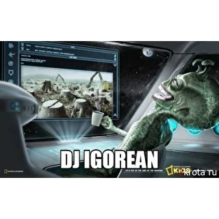 DJ Igorean