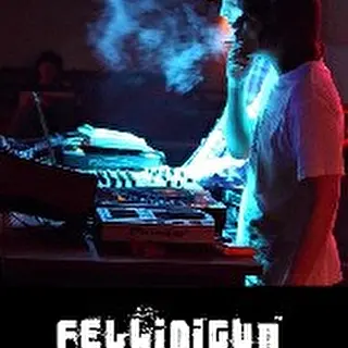 Fellinigun