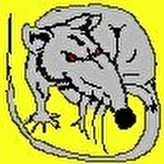 ratte