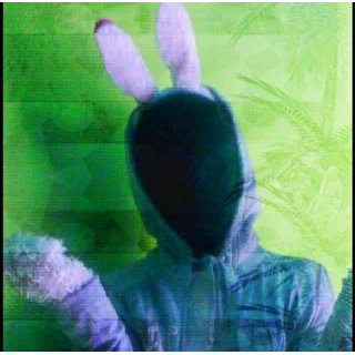 ZAYA ANIMAL