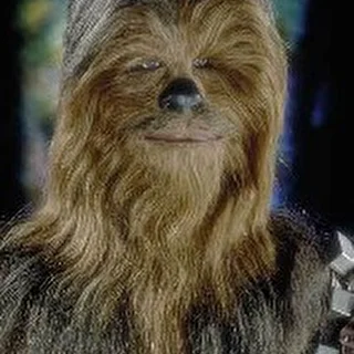 Chewie