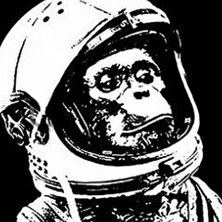 Monkey Astronaut