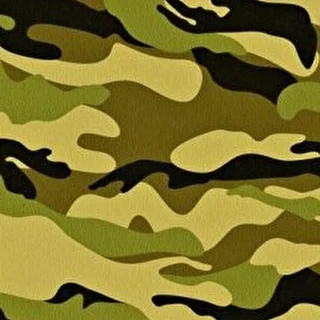 Opastid