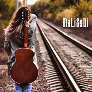 MaLiSeDi