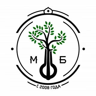 Школа варгана МБ