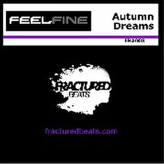 feelfine