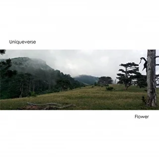 Uniqueverse