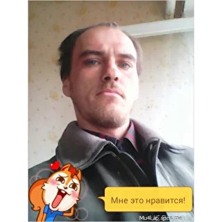 PRO100Alescha