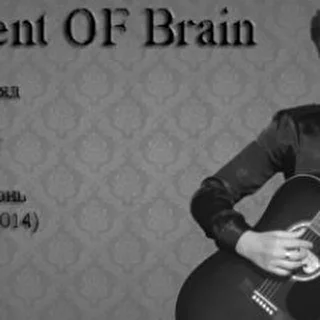 Fragment OF Brain
