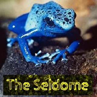 Seldome