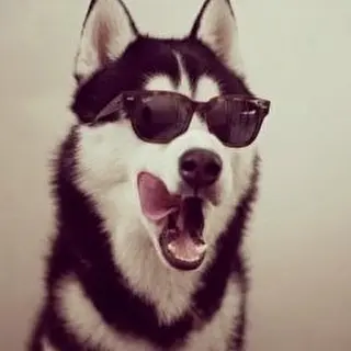 Rayzia