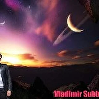 Vladimir Subbotin
