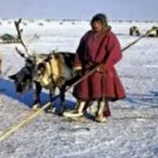 olenevod-73