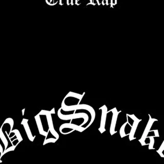 Big Snake