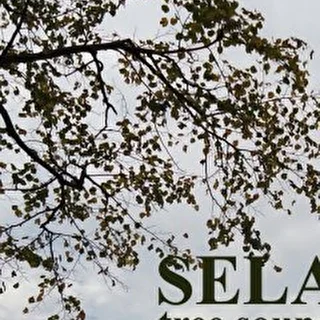 selamusic