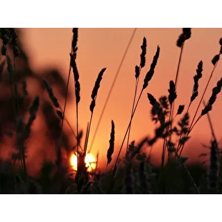 valentina.nazarova.2012