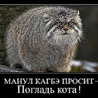 Крюк Иван