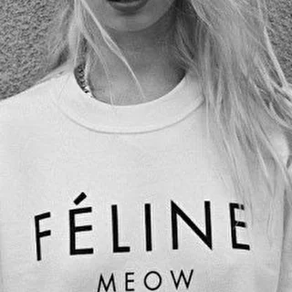 Ice Meow