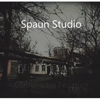 Spaun_Studio