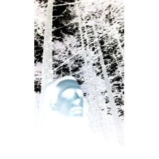 Соколович