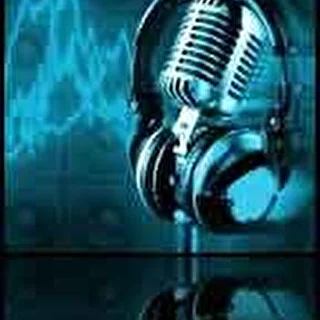 K311RecordZ