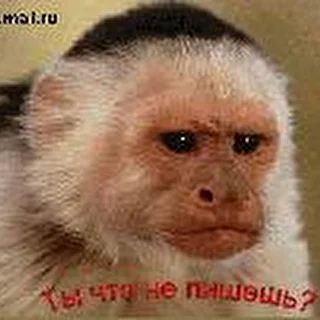 д. Фёдор