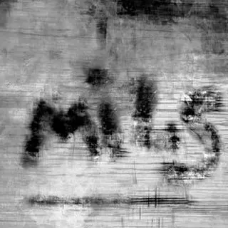 M.LS