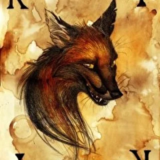 Vulpes Callidi