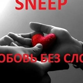 Sneep
