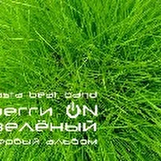 РеггиON