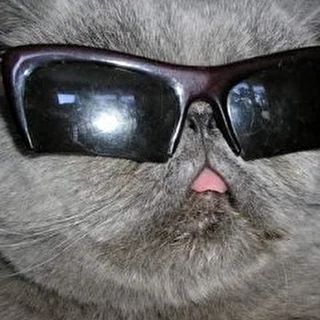Юрий Грей