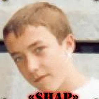 shap