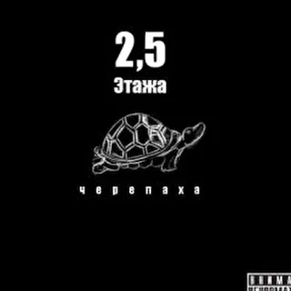 2,5 Этажа