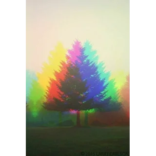 as_gard