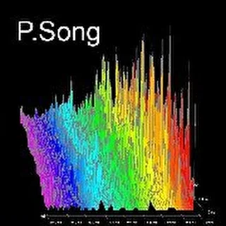 P.Song