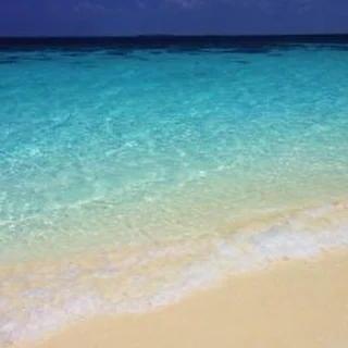 TANEKA