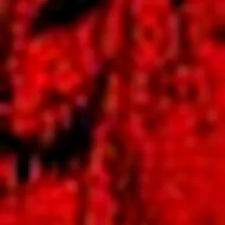 AETERNA INTERVALLUM
