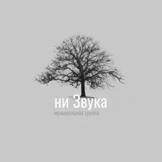 niZvuka
