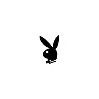 Gang of rabbits
