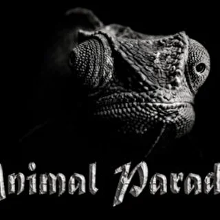 Animal Paradise