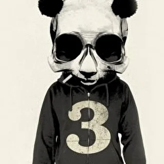panda_x