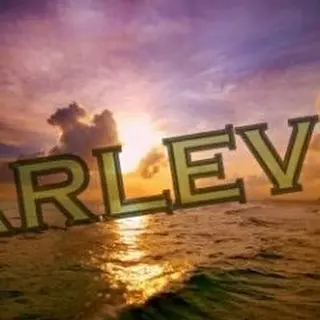 Leo Arleva