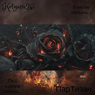 kotyara26