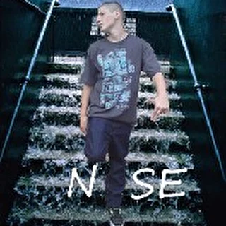 N1SE