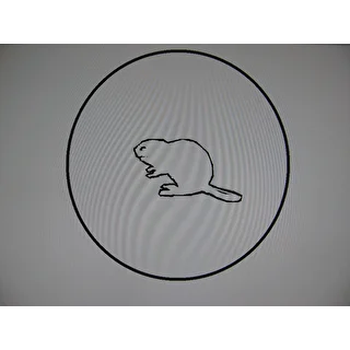 Бобр