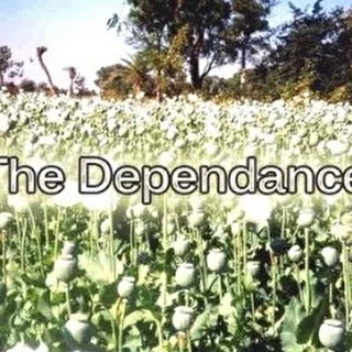 TheDEPENDANCE