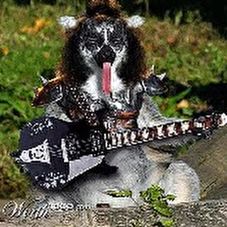 jonrock