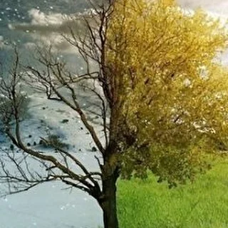 The Sea In Their Blood